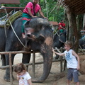 20090417 Half Day Safari - Elephant  40 of 57 